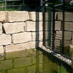 Rechthaler_Whs_Teich